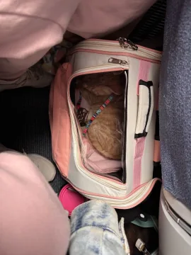 Foto 4 de la reseña de Nízida Zunilda Tarazona Melgarejo