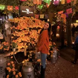 Foto de perfil de Yaz Serrano