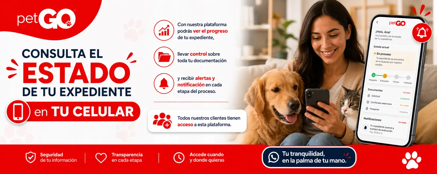 Consulta el estado de tu expediente PetGo desde tu celular