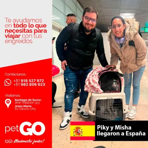 Familias y mascotas que viajaron con PetGo