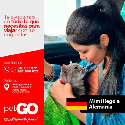 Familias y mascotas que viajaron con PetGo