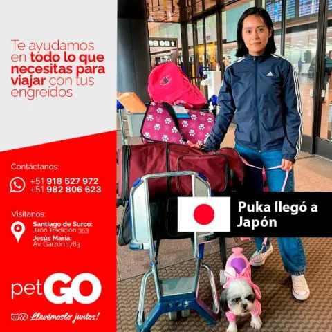 Familias y mascotas que viajaron con PetGo