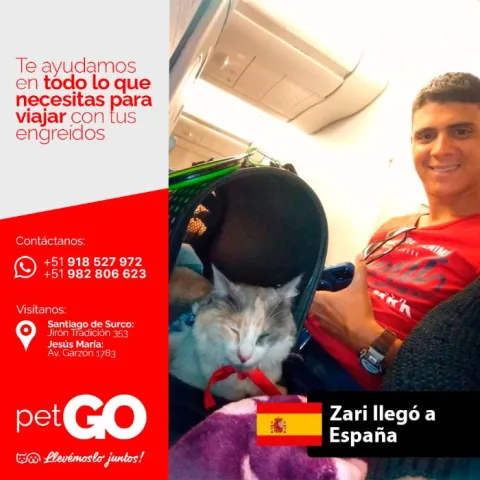 Familias y mascotas que viajaron con PetGo